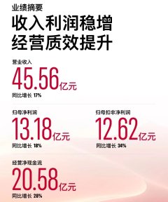 九玩游戏中心官网国内机构授权业求罢了收入6.55亿元-九游会体育-九游会欧洲杯-九玩游戏中心官网