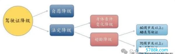 驾驶证年龄又迎来新调治，若干岁不成开车？老司机哭了：我咋挣钱