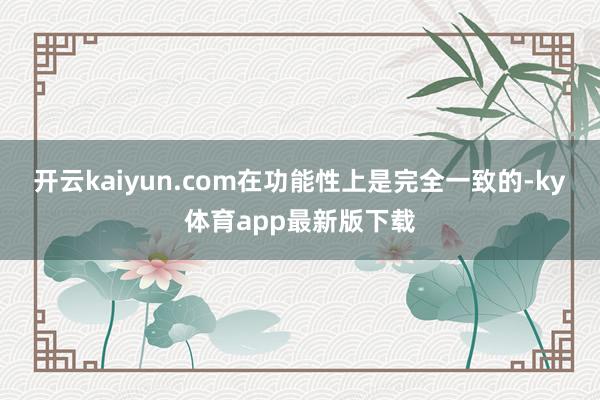 开云kaiyun.com在功能性上是完全一致的-ky体育app最新版下载